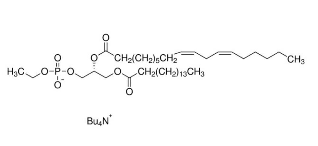 P-115  磷脂酰乙醇16:0/18:2 标准溶液