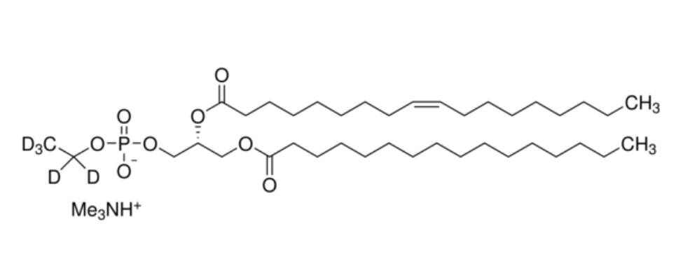 P-151 磷脂酰乙醇16:0/18:1-D5 标准溶液